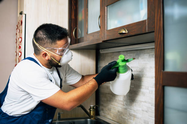Best Affordable Pest Control Services  in Manitou Springs, CO